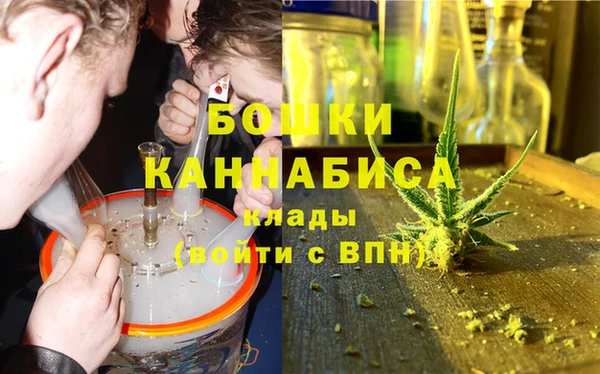 индика Белокуриха