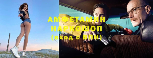 индика Белокуриха