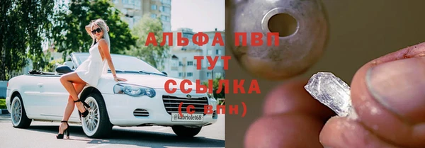 индика Белокуриха
