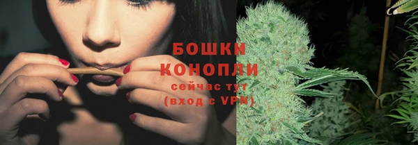 индика Белокуриха