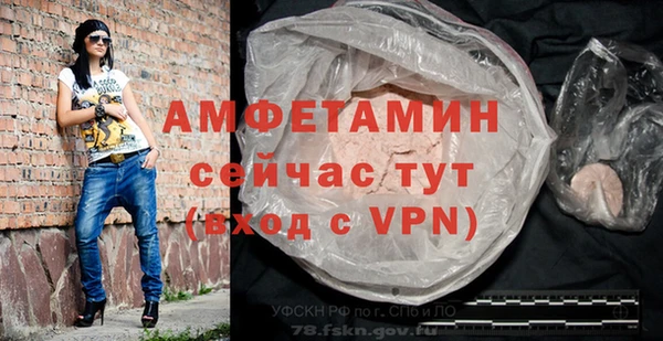 индика Белокуриха