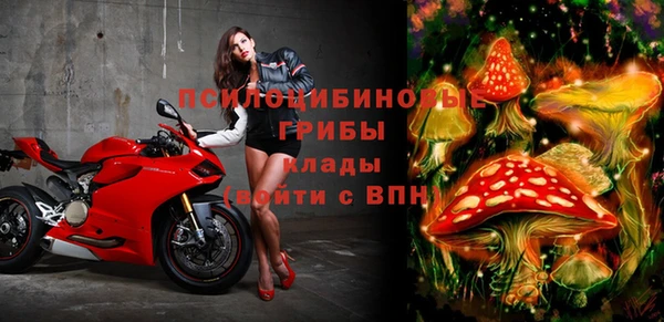 индика Белокуриха