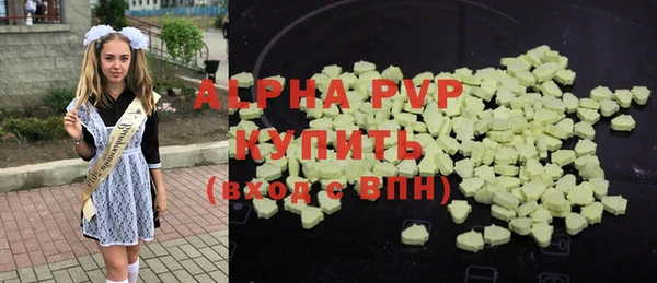 индика Белокуриха