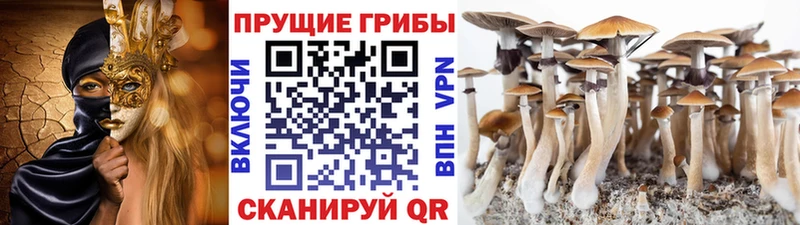 Галлюциногенные грибы GOLDEN TEACHER  наркота  kraken зеркало  Ростов-на-Дону 